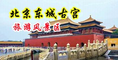 操逼抠逼视频中国北京-东城古宫旅游风景区